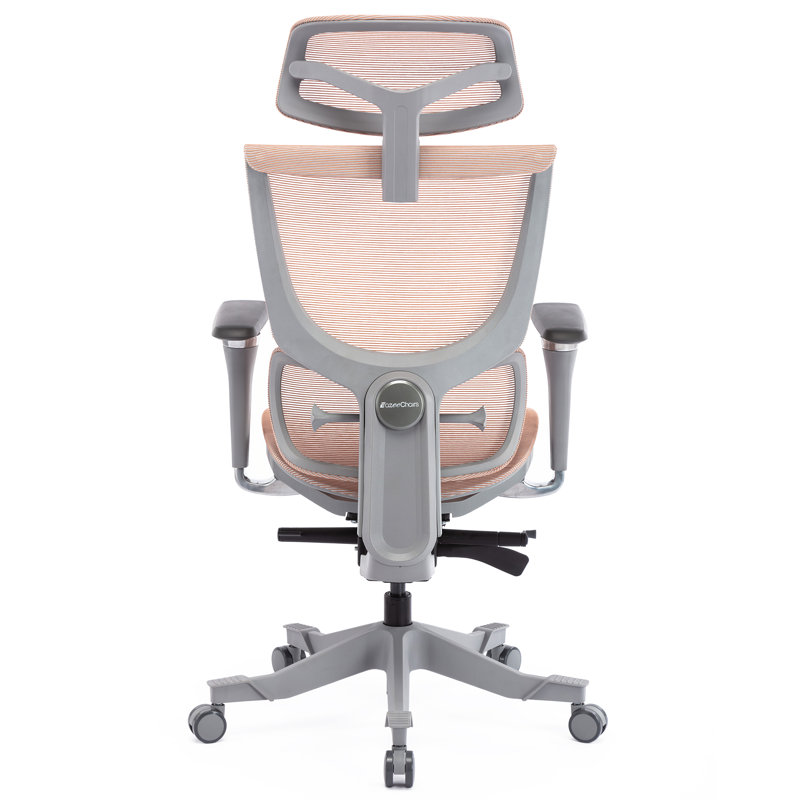 Latitude Run® Tatamy Office Ergonomic Mesh Task Chair & Reviews Wayfair
